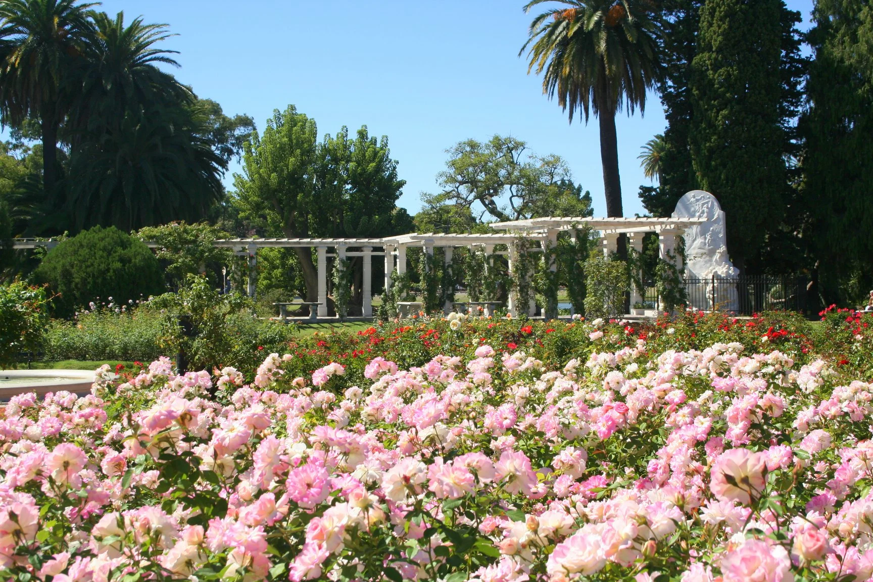 Rosedal Garden
